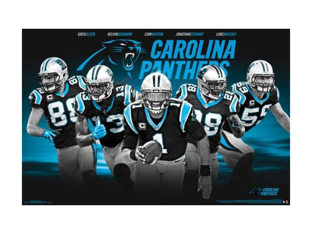 Carolina Panthers - Team 16 Poster Print (34 x 22)
