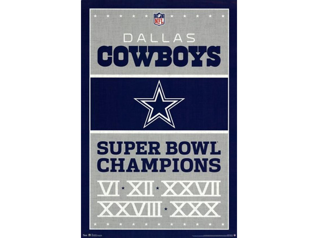 Dallas Cowboys - Champions 2013 Poster Print (22 x 34)