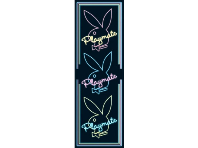 Playboy - Playmate Triple Poster Print (22 x 34) - Item # PYRCPP20062