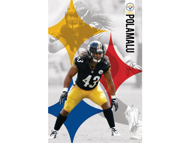 Pittsburgh Steelers T Polamalu 14 Poster Print 24 X 36