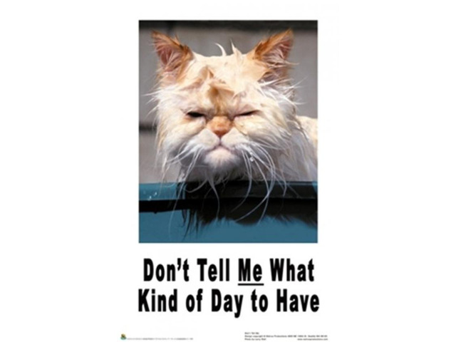Don't Tell Me What Kind of Day to Have - Cat Poster Print (22 x 34)