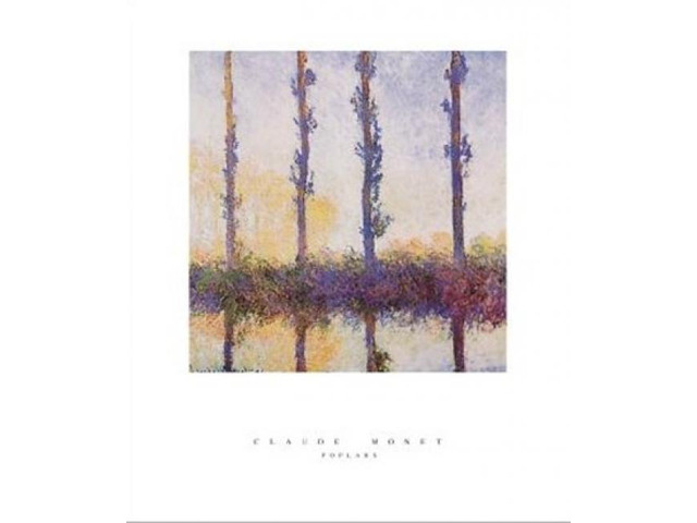 Poplars Poster Print by Claude Monet (22 x 28)