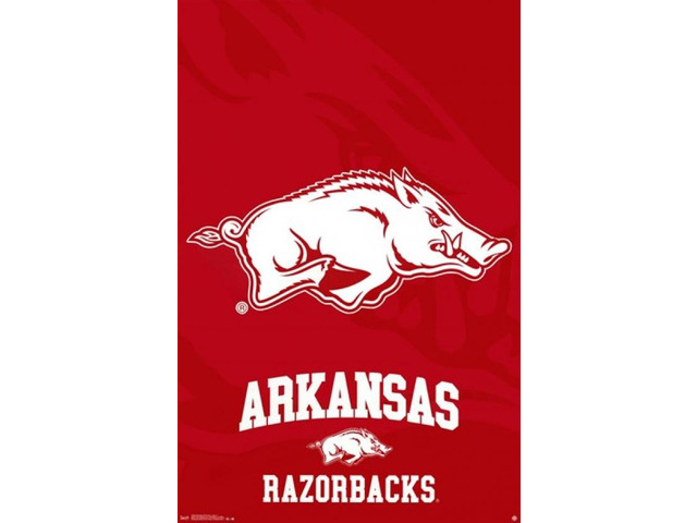 University of Arkansas - Logo 14 Poster Print (24 x 36)