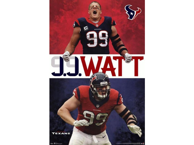 Houston Texans - JJ Watt 2013 Poster Print (24 x 36)