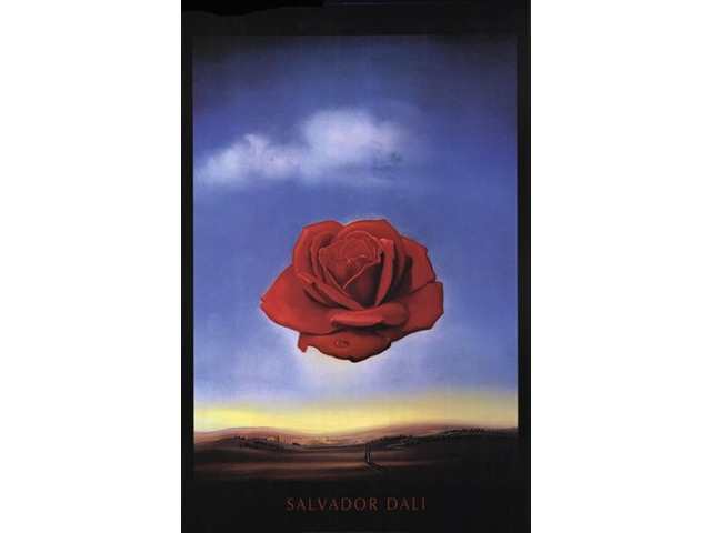 Meditative Rose, c.1958 Poster Print by Salvador Dali (22 x 34)