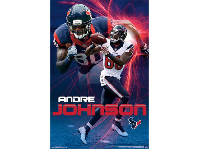 Houston Texans - Andre Johnson 2014 Poster Print (24 x 36)