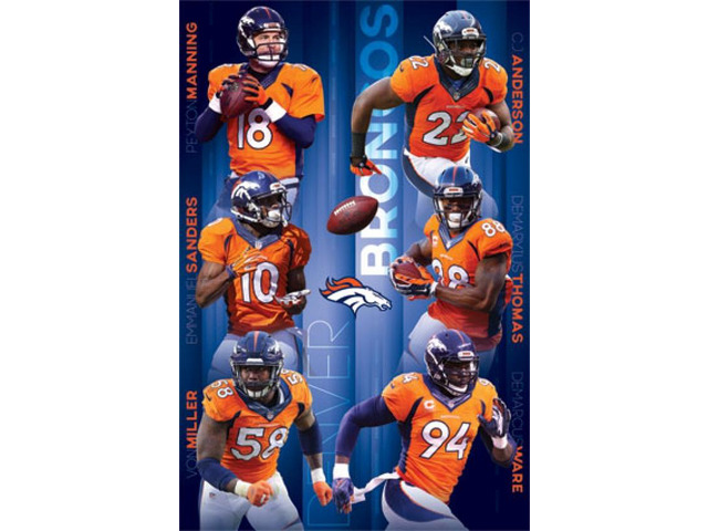 Denver Broncos - Team 15 Poster Print (22 X 34)