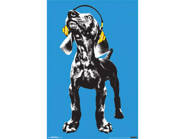 Puppy - Modern Weimaraner Poster Print (24 x 36)