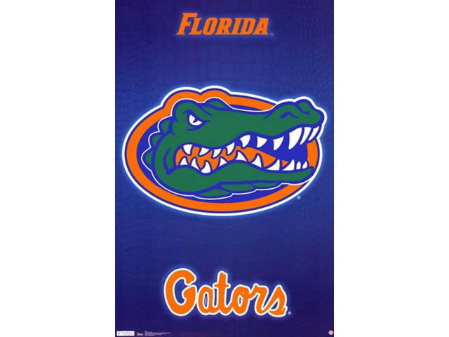 University of Florida 11 Poster Print (22 x 34)