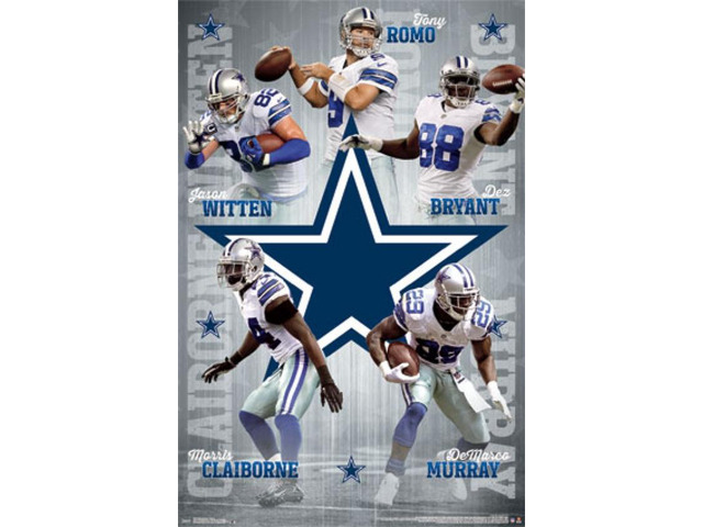 Dallas Cowboys - Team 2014 Poster Print (24 x 36)