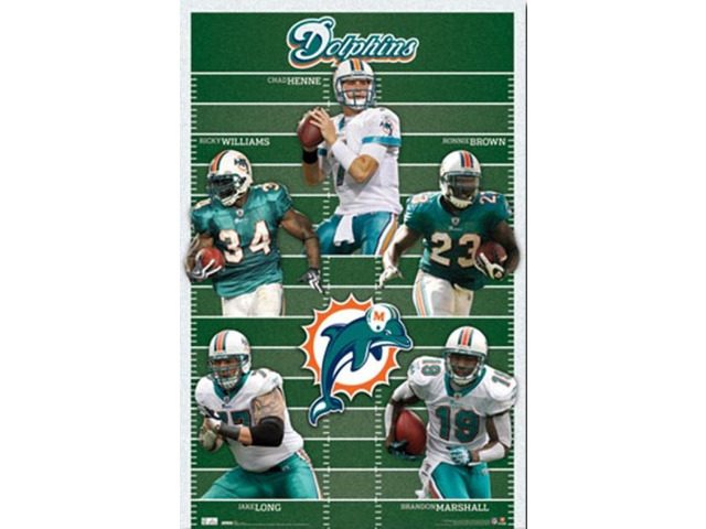 Miami Dolphins - Team 2010 Poster Print (24 x 36)