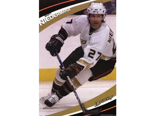 Anaheim Ducks - Scott Niedermayer Poster Print (24 x 36)