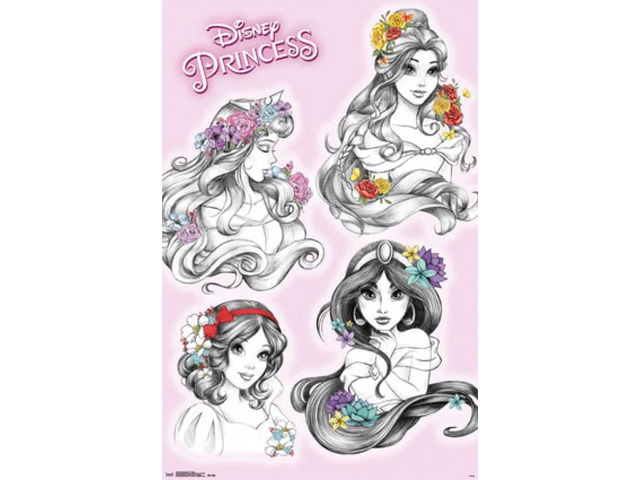 Disney Princess - Sketch Poster Print (22 X 34)