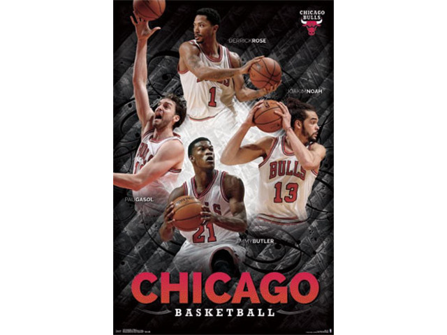 Chicago Bulls - Collage 2014 Poster Print (24 x 36)