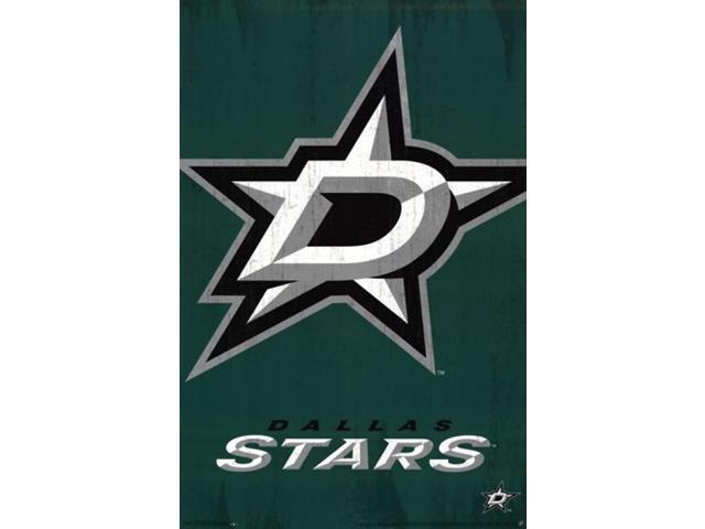 Dallas Stars - Logo 2013 Poster Print (22 x 34)
