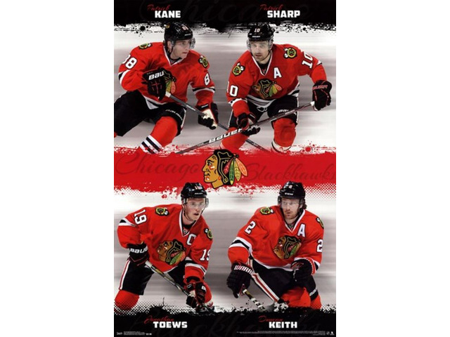 Chicago Blackhawks - Team 2013 Poster Print (22 x 34)