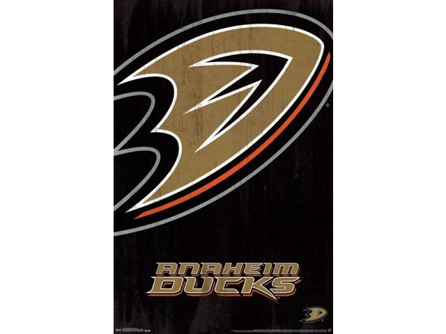 Anaheim Ducks - Logo 13 Poster Print (22 x 34)