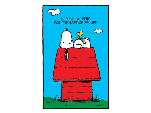 Snoopy Lay Here Poster Print (24 X 36)