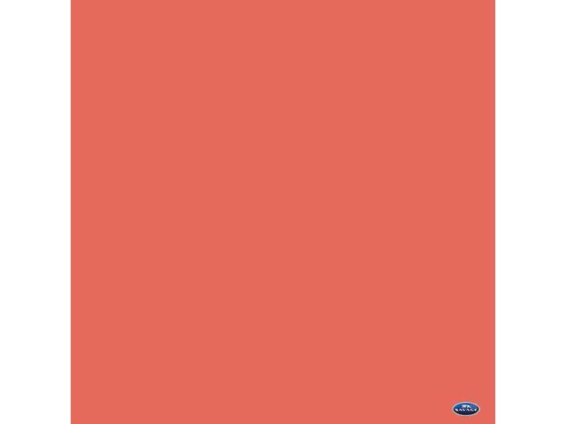 Savage 107' x 12yds Background Paper (#82 Tangelo)