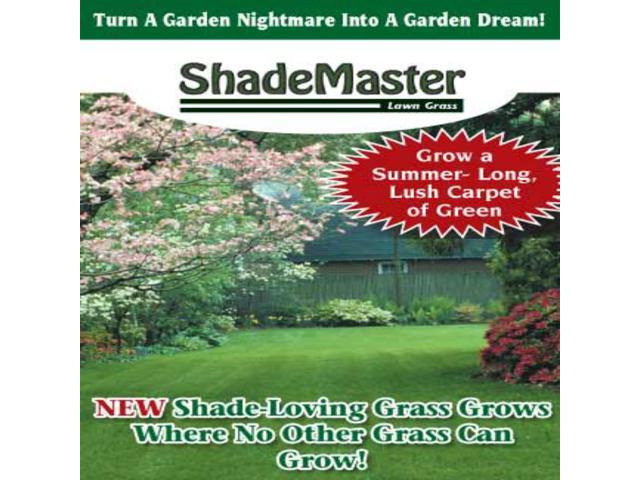 Shade Master Lawn Grass Seed, 1 lb.