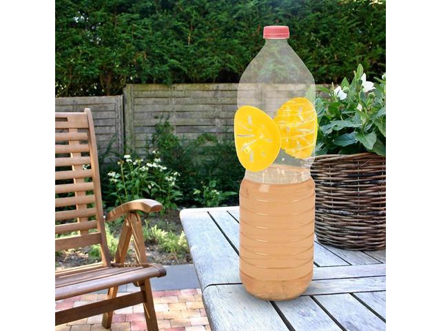 Funnel Catcher Wasp and Hornet Trap, 6-Pack