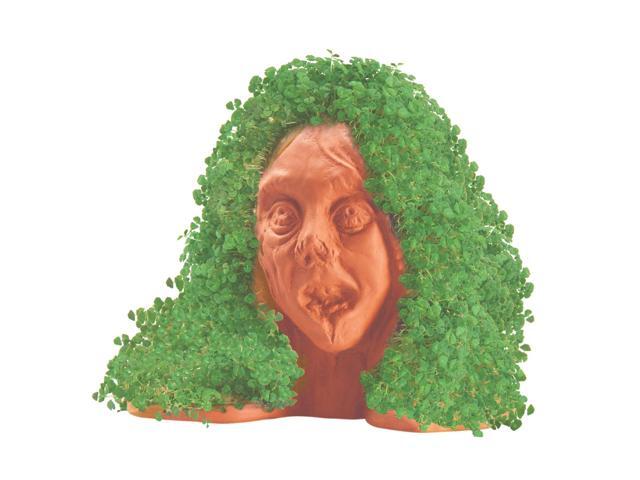 Chia Pet Planter - Zombie - Lifeless Lisa
