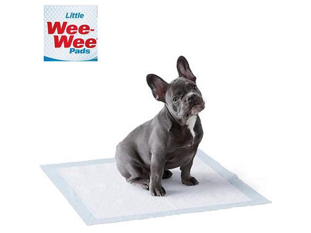 Four Paws Wee Wee Pads for Standard and Little Dogs, 36 Count