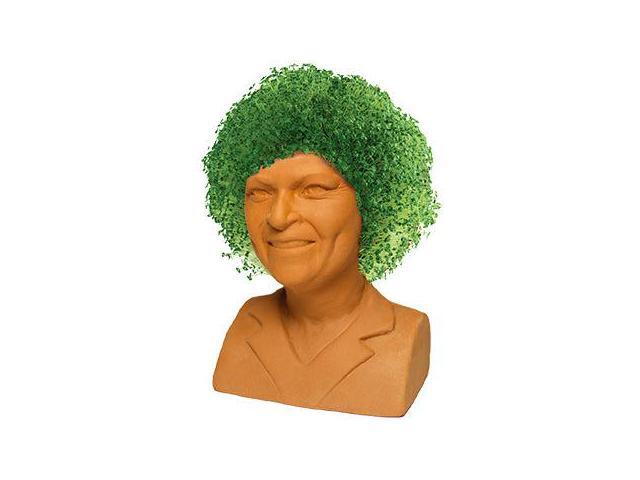 Chia Pet Planter - The Golden Girls - Rose