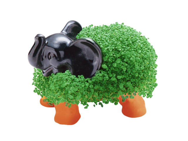 Chia Pet Planter - Elephant