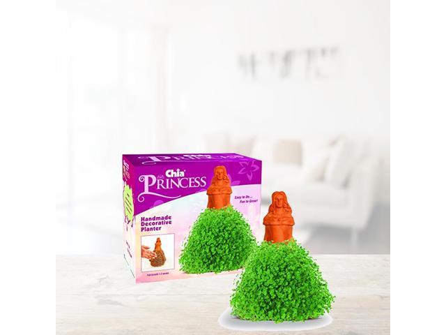 Chia Pet Planter - Princess