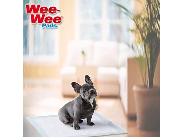 Four Paws Wee Wee Pads for Standard and Little Dogs, 72 Count