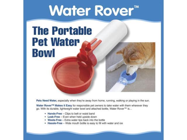 Water Rover Regular 4-Inch Bowl and 15-Ounce Bottle, Pink