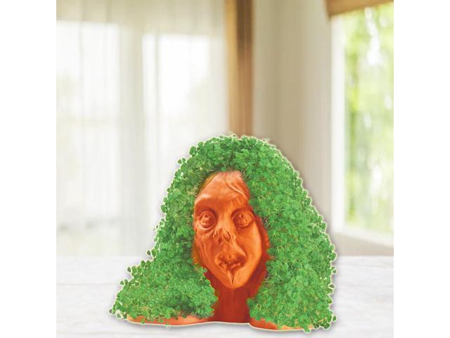 Chia Pet Planter - Zombie - Lifeless Lisa