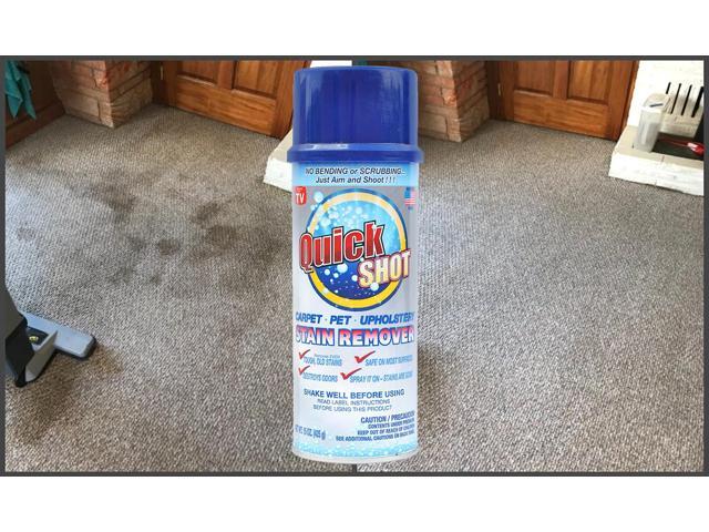 Instagone's Quick Shot Carpet, Pet & Upholstery Stain Remover. 1, 15 oz.