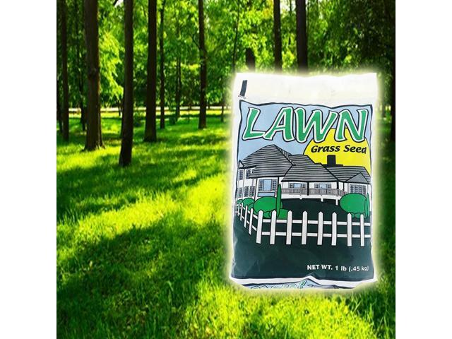 Shade Master Lawn Grass Seed, 1 lb.