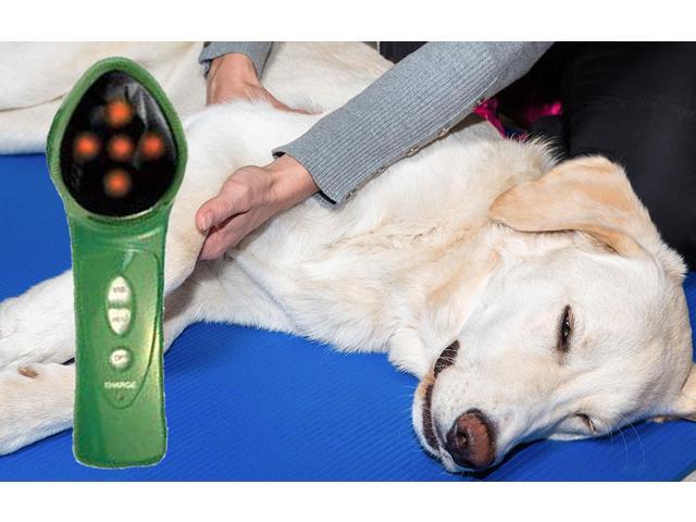 Infrared Pet Massager