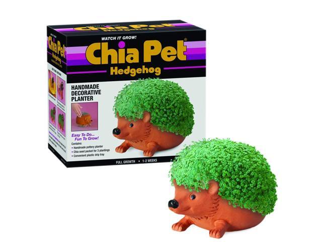 Chia Pet Planter - Hedgehog