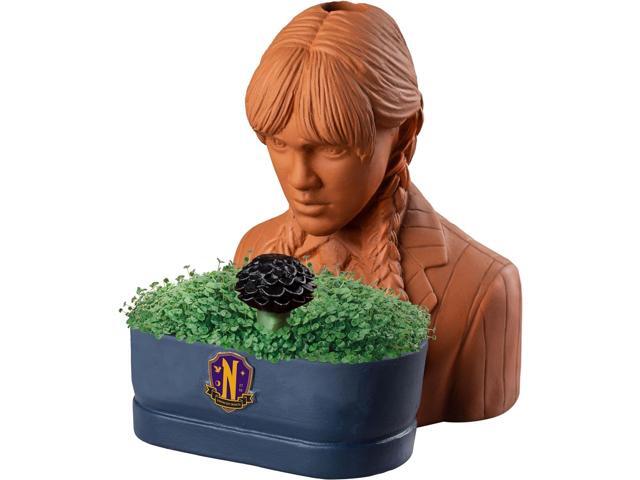 Chia Pet Planter - Wednesday