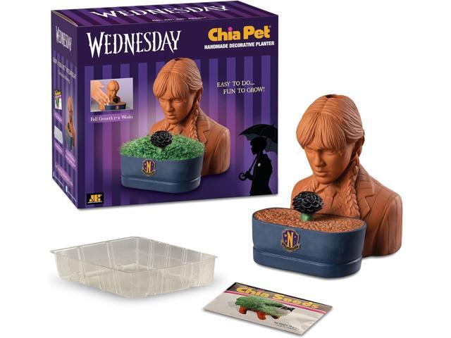 Chia Pet Planter - Wednesday