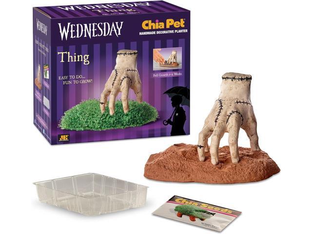 Chia Pet Planter - Thing