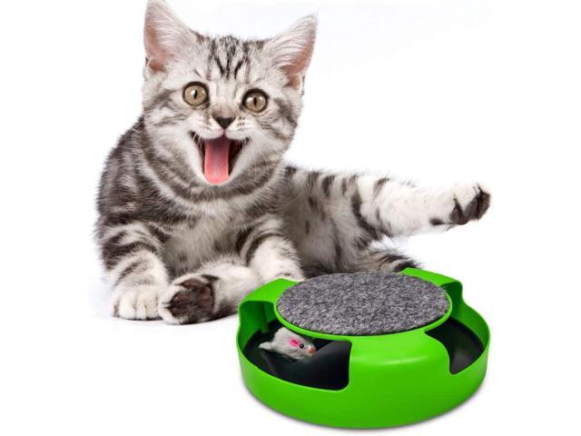 Whirling Cat Toy - The Ultimate Spinning Plaything for Cats