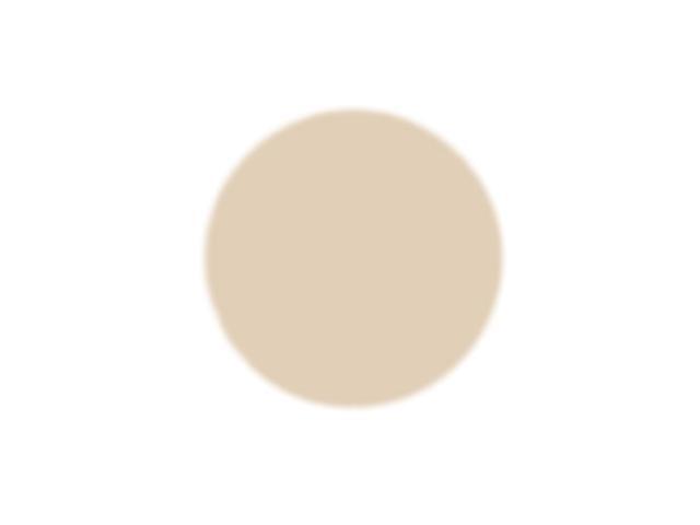 Grout Shield Grout Restoration System- (Ivory)