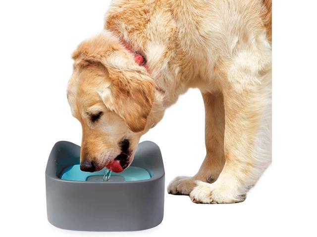 Pet Parade - No Spill Pet Bowl [JB8902]