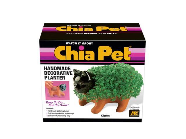 Chia Pet Planter - Kitten