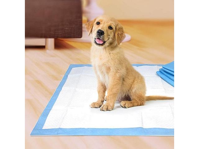Four Paws Wee Wee Pads for Standard and Little Dogs, 72 Count