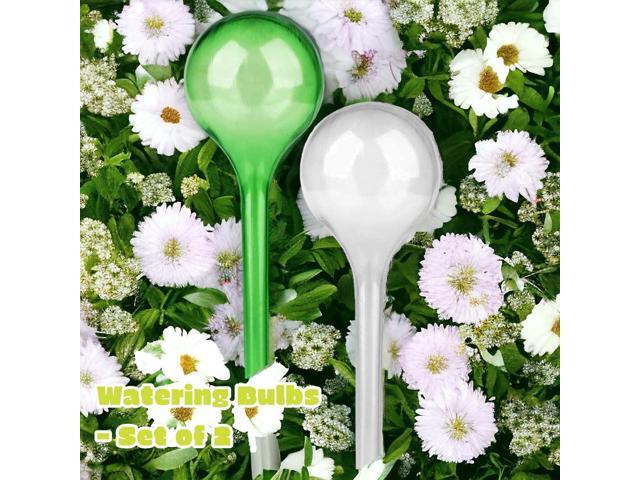 Watering Bulbs - Set of 2