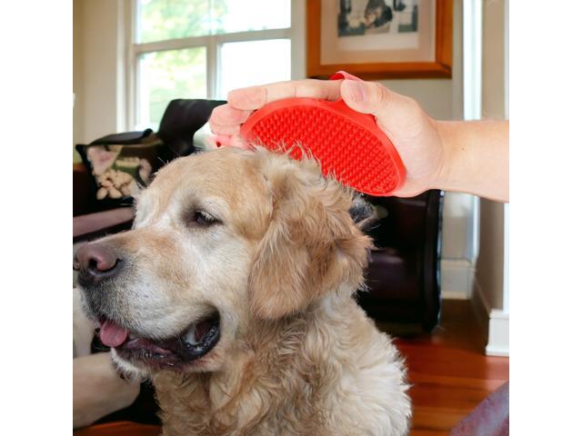 Pet Grooming Palm Brush