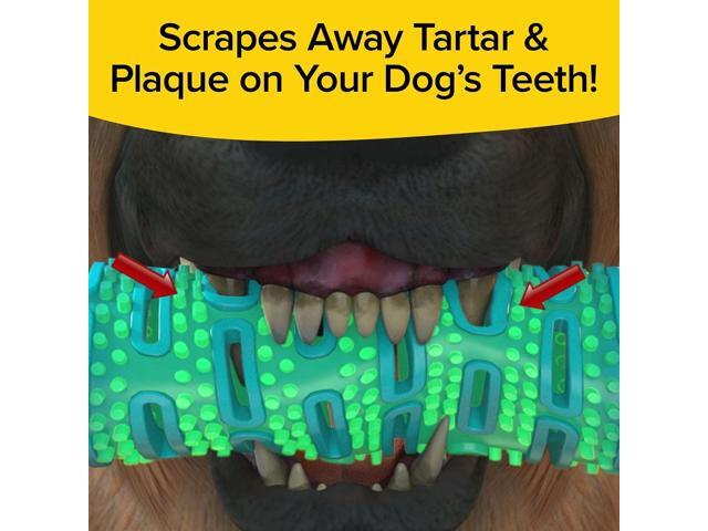 BrushBone - Dog Toothbrush Bone