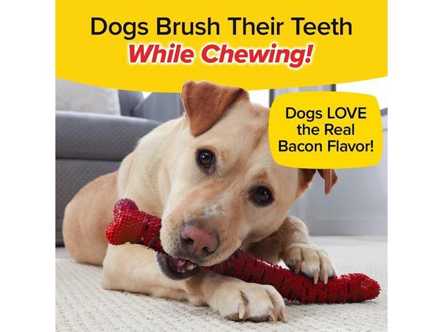 BrushBone - Dog Toothbrush Bone - Bacon Bonanza - Three Pack