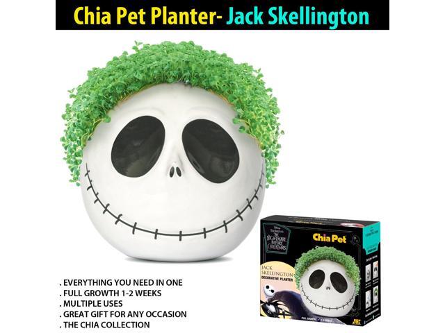 Chia Pet Planter - Jack Skellington